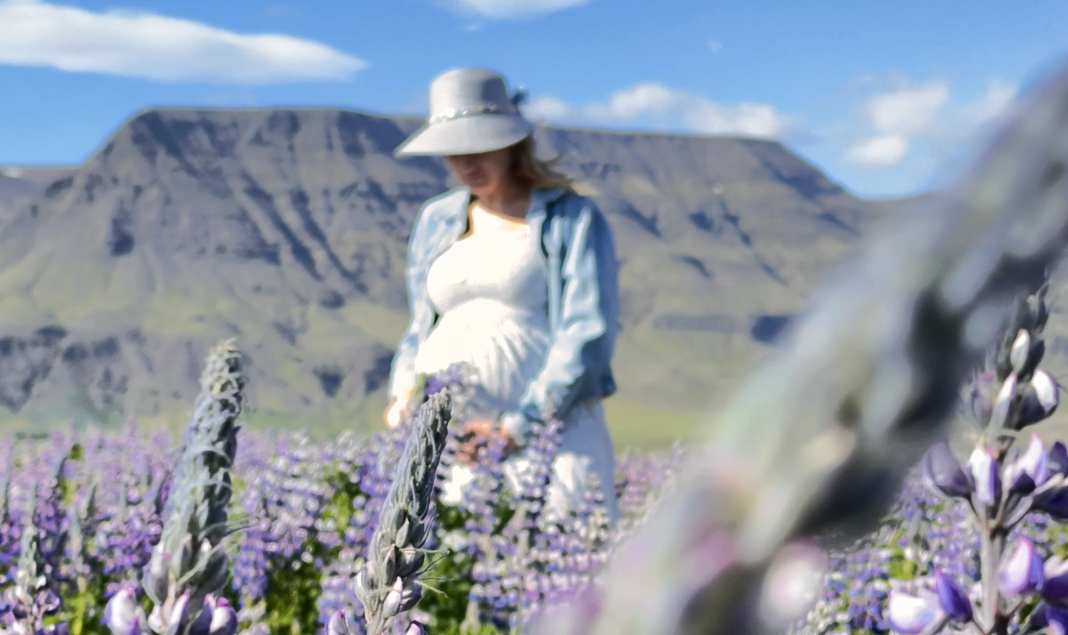 A woman sits among blooming lupines in a mountainous Icelandic valley, wearing a sunhat and light shirt.